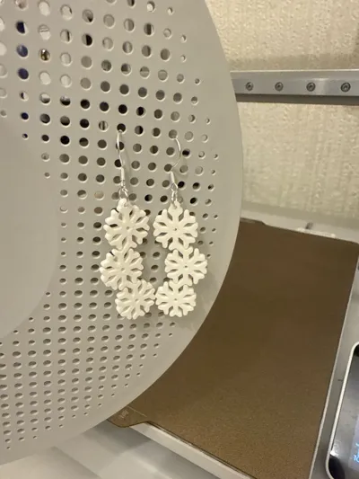 https://makerworld.bblmw.com/makerworld/model/955056/923823/ratings/6afe3340-a3ce-11f0-acf8-f17ff16168b2.jpg