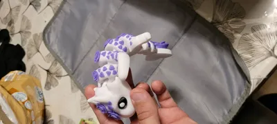 https://makerworld.bblmw.com/makerworld/model/955205/923998/ratings/05e85980-4493-11f0-961e-cdf23413f608.jpg