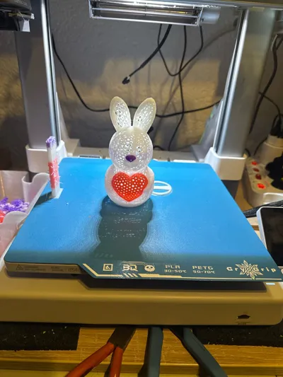 https://makerworld.bblmw.com/makerworld/model/955487/924484/ratings/3b048470-f7d2-11f0-86ff-1386c3466c06.jpg