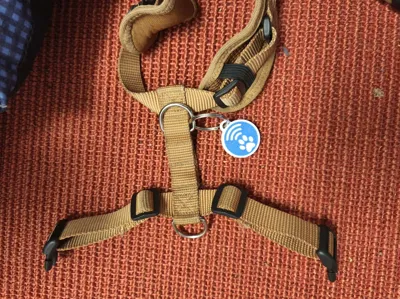 https://makerworld.bblmw.com/makerworld/model/956909/925987/ratings/f5abcf10-5f2d-11f0-866e-c3fc4c79e89c.jpg