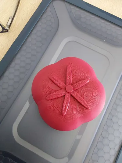 https://makerworld.bblmw.com/makerworld/model/959794/929533/ratings/4944dbe0-8994-11f0-80db-6509f5269265.jpg