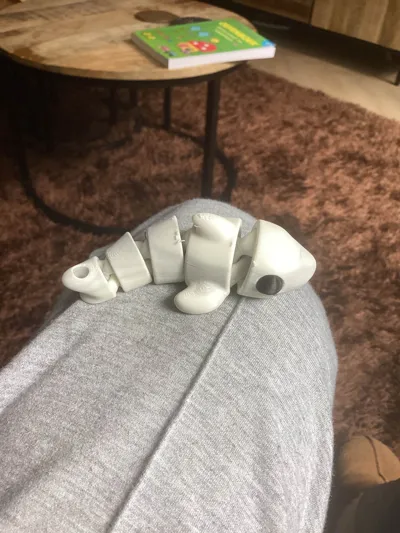https://makerworld.bblmw.com/makerworld/model/960197/929978/ratings/2b4b2010-621e-11f0-967e-a76b557475b9.jpg