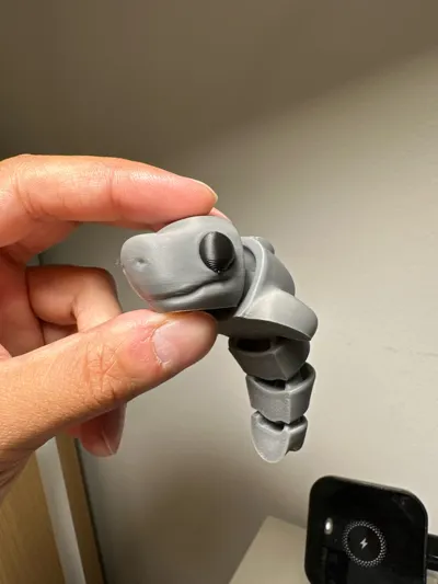 https://makerworld.bblmw.com/makerworld/model/960197/929978/ratings/39386060-61bb-11f0-a8a1-eb1b355b62b5.jpg