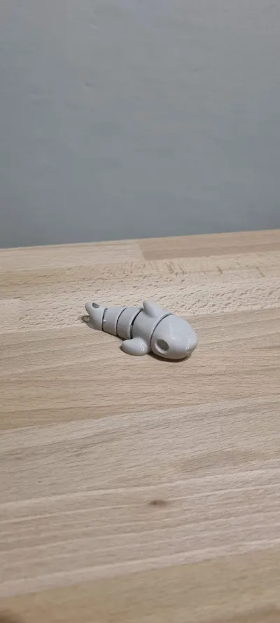 https://makerworld.bblmw.com/makerworld/model/960197/929998/ratings/071e3150-1fbb-11f0-9fc7-95758872548d.jpg