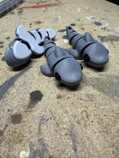https://makerworld.bblmw.com/makerworld/model/960197/929998/ratings/0f51d980-0963-11f0-9ac8-cdef48a16646.jpg