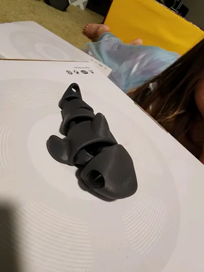 https://makerworld.bblmw.com/makerworld/model/960197/929998/ratings/24b4cf60-717f-11f0-88b0-fb5d0c067faf.jpg