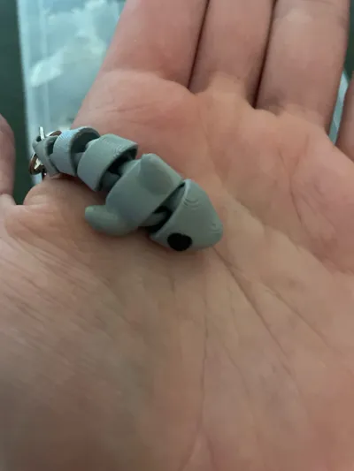 https://makerworld.bblmw.com/makerworld/model/960197/929998/ratings/4efecd40-125f-11f0-b6d2-952da2a7d8bf.jpg