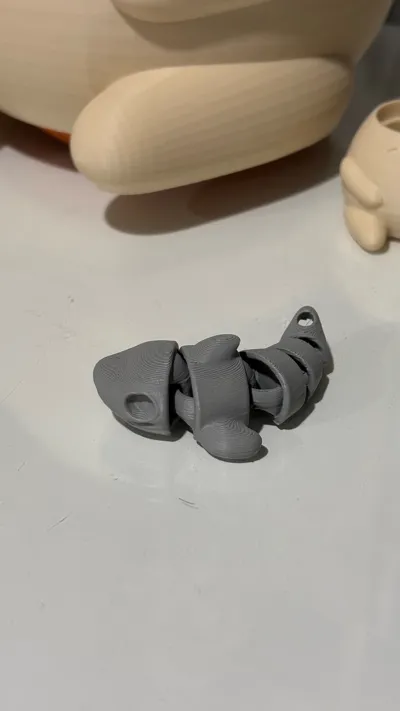 https://makerworld.bblmw.com/makerworld/model/960197/929998/ratings/dcef52c0-9566-11f0-9776-77b716774505.jpg