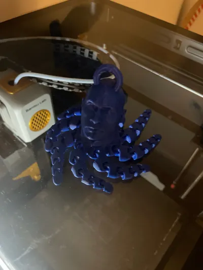 https://makerworld.bblmw.com/makerworld/model/960369/930230/ratings/6f7d12f0-b077-11f0-a0b5-7f3656122ea9.jpg