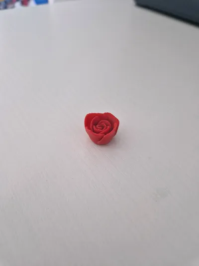 https://makerworld.bblmw.com/makerworld/model/960748/930630/ratings/64e3c290-a6a8-11f0-b650-4182957eaeb8.jpg