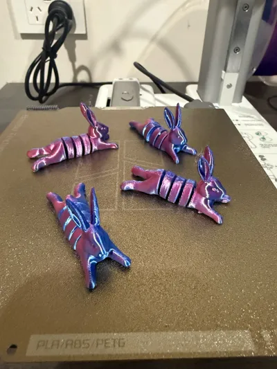 https://makerworld.bblmw.com/makerworld/model/960991/930940/ratings/bb6b14c0-4ef0-11f0-86da-65ca62bcb666.jpg