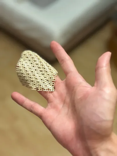 https://makerworld.bblmw.com/makerworld/model/961340/1176658/ratings/056d80d0-be7c-11f0-8c17-5546ad39173d.jpg