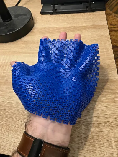 https://makerworld.bblmw.com/makerworld/model/961340/931338/ratings/28151a80-d3ad-11f0-bd9f-ffe3282ce56b.jpg