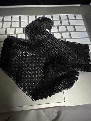 https://makerworld.bblmw.com/makerworld/model/961340/931338/ratings/9060f2a0-0a66-11f0-8571-5f395e19068c.jpg
