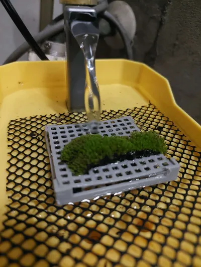 https://makerworld.bblmw.com/makerworld/model/962179/932289/ratings/c04ed8d0-0cb6-11f1-9068-7d9cd5fa048f.jpg