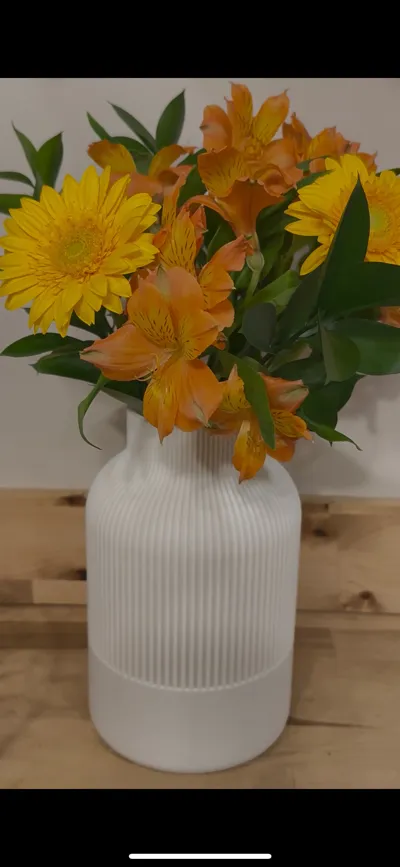 https://makerworld.bblmw.com/makerworld/model/964016/934218/ratings/be9a7e00-313c-11f0-ba8c-01da0a0a59c0.jpg