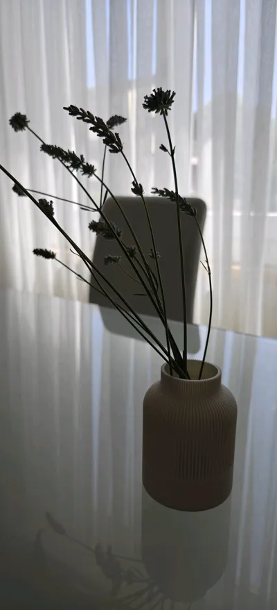 https://makerworld.bblmw.com/makerworld/model/964016/975864/ratings/29a21890-60ed-11f0-aa60-a19048f5c438.jpg