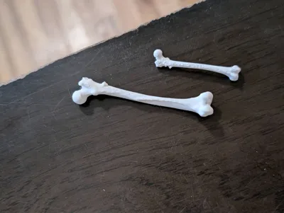 https://makerworld.bblmw.com/makerworld/model/96443/1930024/ratings/845a6ce0-9664-11f0-80c9-834c5a48d75c.jpg