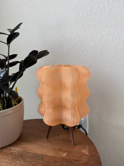 https://makerworld.bblmw.com/makerworld/model/965182/935571/ratings/2df907f0-e676-11f0-9846-afd358a48261.jpg