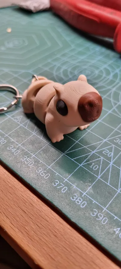 https://makerworld.bblmw.com/makerworld/model/969671/940978/ratings/a62c2c30-e72e-11f0-94b2-b56fb32b731c.jpg
