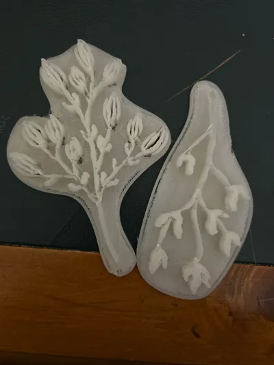 https://makerworld.bblmw.com/makerworld/model/970265/962044/ratings/814cd5c0-6382-11f0-83f0-373eced3322b.jpg