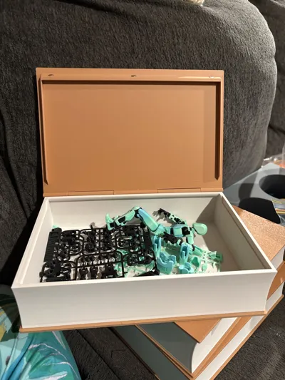 https://makerworld.bblmw.com/makerworld/model/971658/943428/ratings/1ffc68f0-d770-11f0-8d72-8bbac66f1e0f.jpg
