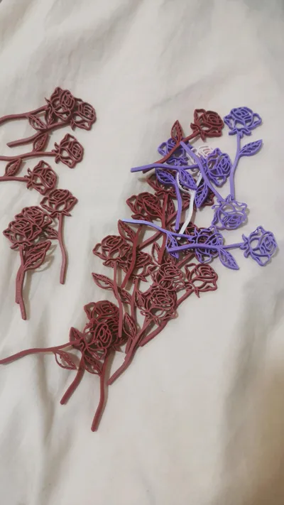 https://makerworld.bblmw.com/makerworld/model/971714/943491/ratings/eba94c00-702f-11f0-8101-4b5feeaae855.jpg