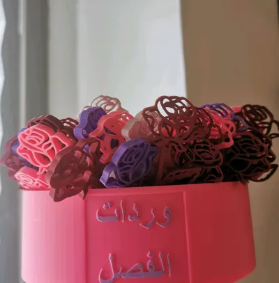 https://makerworld.bblmw.com/makerworld/model/971714/943491/ratings/f0ad3690-7119-11f0-8c3c-e54528a478d6.jpg