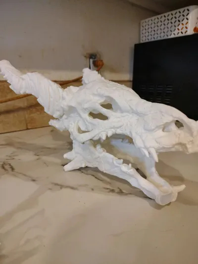 https://makerworld.bblmw.com/makerworld/model/971865/943693/ratings/ef9c86d0-ec10-11f0-9206-914732daa511.jpg