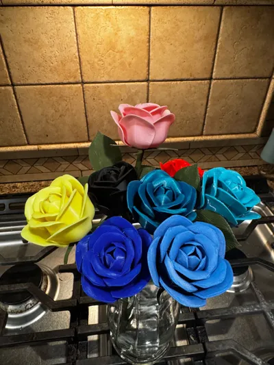 https://makerworld.bblmw.com/makerworld/model/973668/1068539/ratings/d20da860-bc63-11f0-b13c-057a04acc9aa.jpg