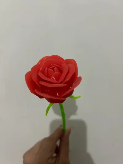 https://makerworld.bblmw.com/makerworld/model/973668/1462129/ratings/4af41730-cf1c-11f0-96b0-0b1f267de7bd.jpg
