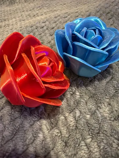 https://makerworld.bblmw.com/makerworld/model/973668/1462554/ratings/08120e60-f8dc-11f0-a73a-85fe9ab7ec9f.jpg