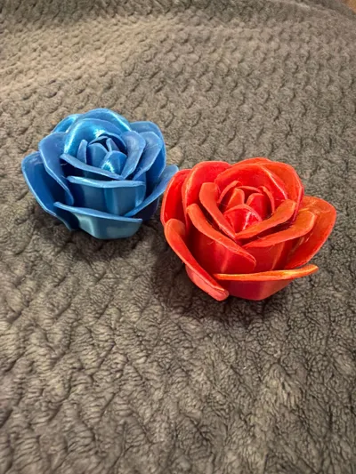 https://makerworld.bblmw.com/makerworld/model/973668/1462554/ratings/081c2080-f8dc-11f0-a73a-85fe9ab7ec9f.jpg