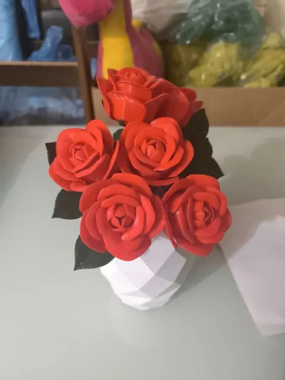 https://makerworld.bblmw.com/makerworld/model/973668/945877/ratings/1113daf0-2c38-11f0-b23f-01bac230930e.jpg