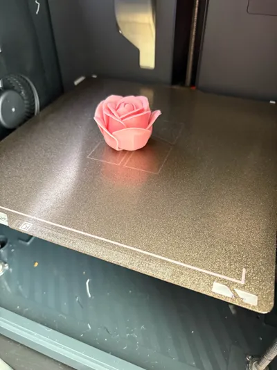 https://makerworld.bblmw.com/makerworld/model/973668/945877/ratings/2445f890-ad36-11f0-896b-4db4c8e0998e.jpg