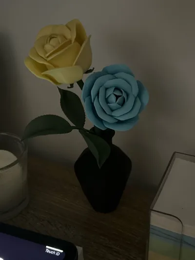 https://makerworld.bblmw.com/makerworld/model/973668/945877/ratings/29662560-6fb1-11f0-b0a7-2f58a78f11a8.jpg