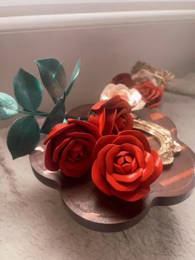 https://makerworld.bblmw.com/makerworld/model/973668/945877/ratings/98f72360-f76b-11f0-a00a-5da00239e726.jpg