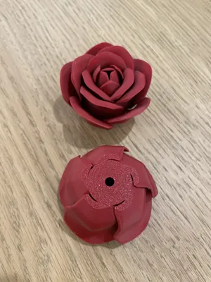 https://makerworld.bblmw.com/makerworld/model/973668/945877/ratings/acd66750-feb6-11ef-adb8-fb25b91d8c3e.jpg