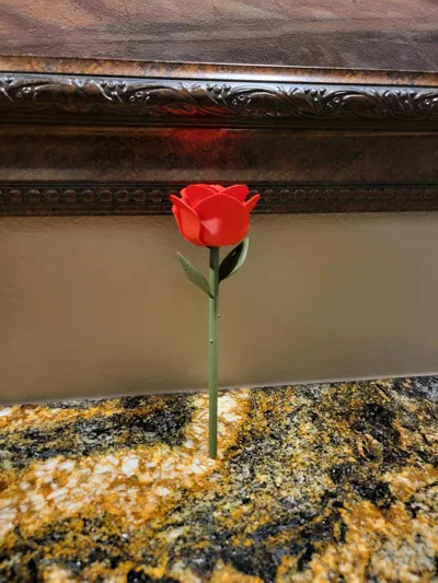 https://makerworld.bblmw.com/makerworld/model/973668/945877/ratings/b0ced880-4671-11f0-bbf5-f90ec7b48626.jpg