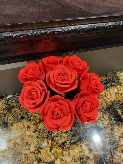 https://makerworld.bblmw.com/makerworld/model/973668/945877/ratings/b0e56dc0-4671-11f0-bbf5-f90ec7b48626.jpg