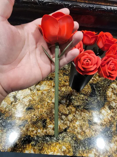 https://makerworld.bblmw.com/makerworld/model/973668/945877/ratings/b13d03a0-4671-11f0-bbf5-f90ec7b48626.jpg