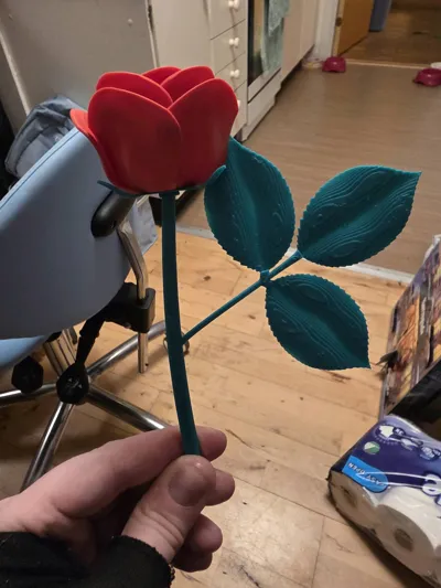 https://makerworld.bblmw.com/makerworld/model/973668/945877/ratings/b1c913f0-d9d2-11f0-b51c-efcef1851290.jpg