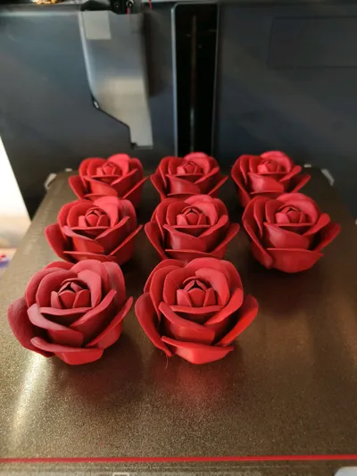 https://makerworld.bblmw.com/makerworld/model/973668/945877/ratings/c30649b0-2f25-11f0-84dd-d3e60fd9ed06.jpg