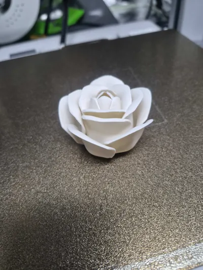 https://makerworld.bblmw.com/makerworld/model/973668/945877/ratings/c6d96ca0-c360-11f0-9e96-cfc7626ca6ac.jpg