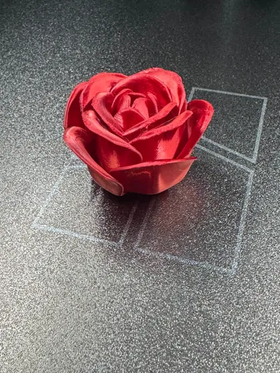 https://makerworld.bblmw.com/makerworld/model/973668/945877/ratings/c835b020-da3c-11f0-b778-2d8814553ba0.jpg