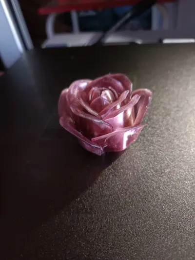 https://makerworld.bblmw.com/makerworld/model/973668/945877/ratings/cdc6be10-2972-11f0-a279-1995b781eb40.jpg