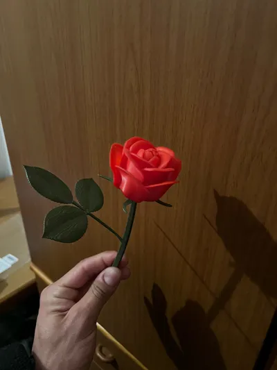 https://makerworld.bblmw.com/makerworld/model/973668/945877/ratings/e2ec1890-1896-11f0-9e69-19a4a16bab87.jpg