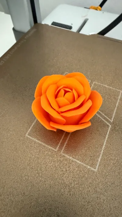 https://makerworld.bblmw.com/makerworld/model/973668/945877/ratings/efcae7f0-2ea1-11f0-8b8d-7dbbee3853b4.jpg
