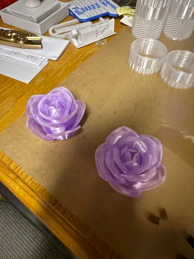 https://makerworld.bblmw.com/makerworld/model/973668/945877/ratings/f8642460-753e-11f0-b6b2-11c13d26b1a6.jpg