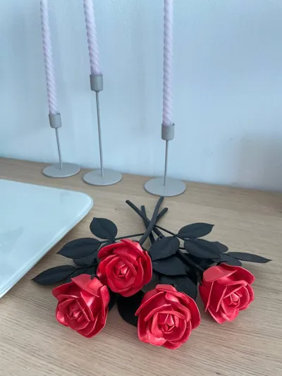 https://makerworld.bblmw.com/makerworld/model/973668/961163/ratings/2025-08-07_1f7bd3d5331de8.jpg